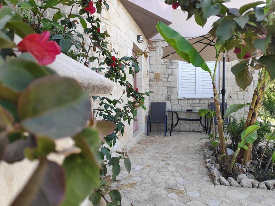 Xenia'S Countryside Guesthouse Agia Marina Eksteriør bilde